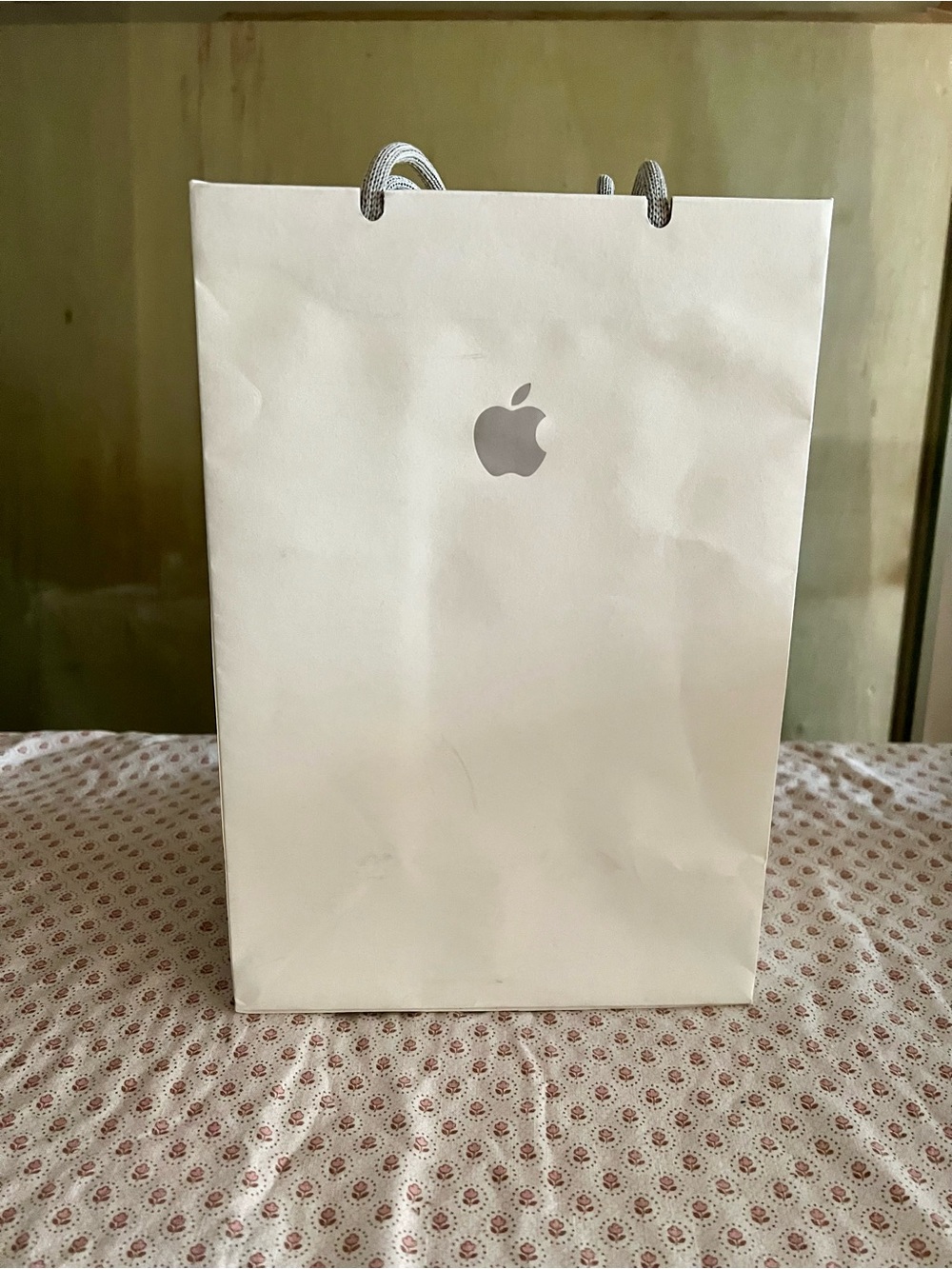 Apple White Gift Bag with Grey Logo and Matching Rope Handles